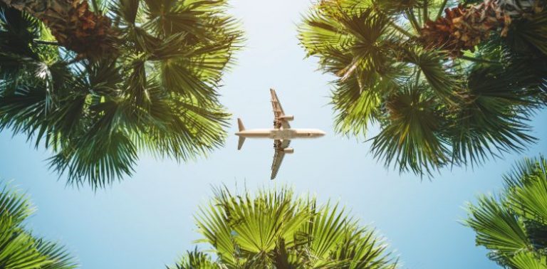 A plane flying in a clear blue sky, above palm trees.
