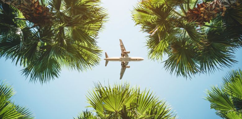 A plane flying in a clear blue sky, above palm trees.