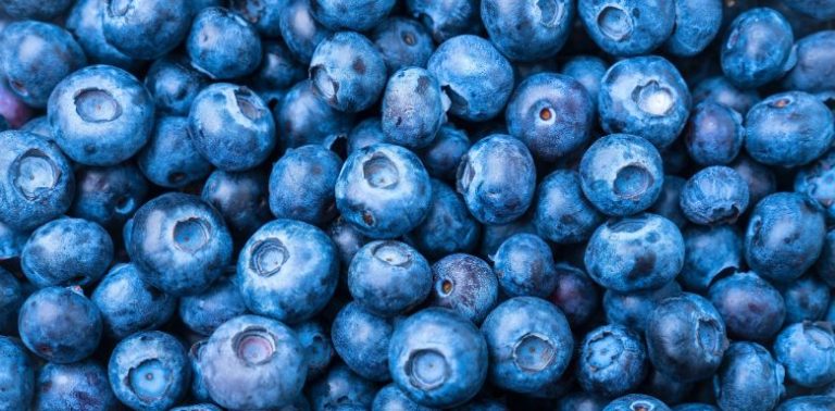 Blueberries