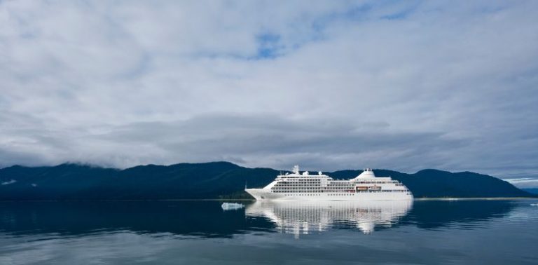 A cruise ship in the water