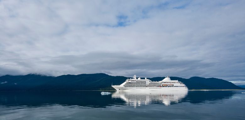 A cruise ship in the water